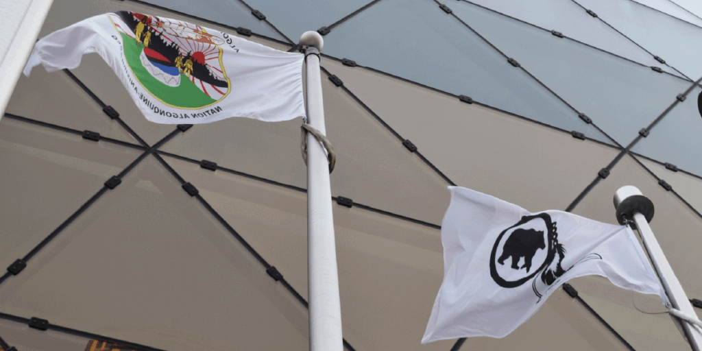 Two flags on poles in front of a modern building; one has a buffalo silhouette, the other a colorful circular emblem.